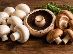 Eating Mushrooms Every Day: Is It Actually Good or Bad for You?